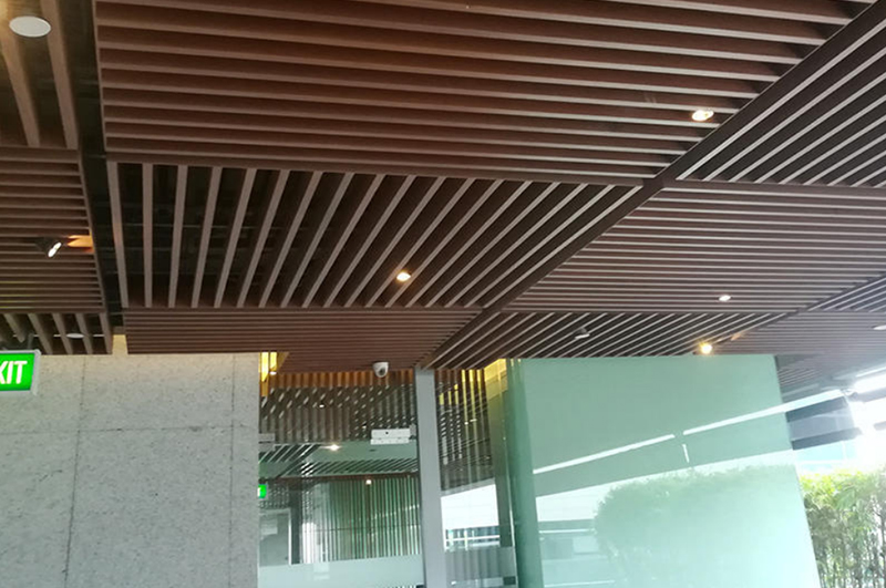 Indoor Ceiling